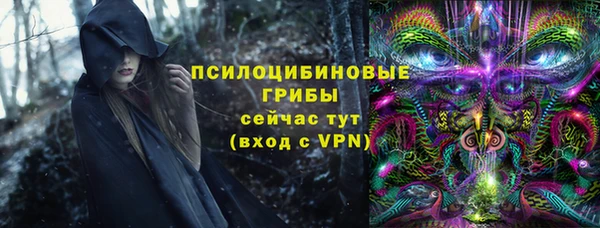 гидра Алексеевка