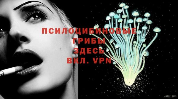 спиды Абинск