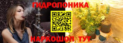 индика Партизанск