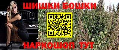 индика Партизанск
