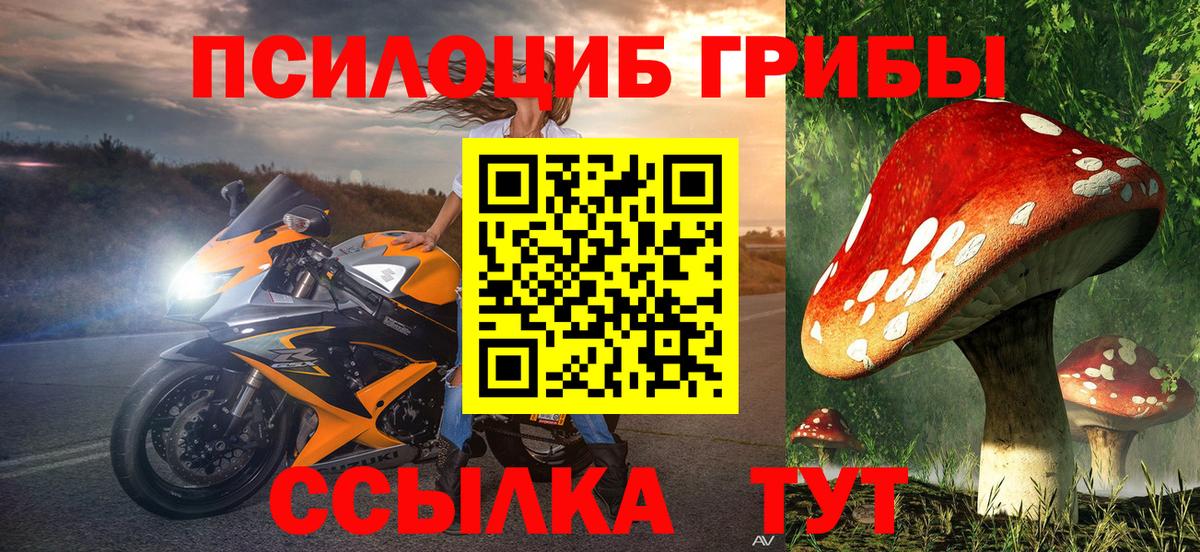 Фрязино  Галлюциногенные грибы Psilocybine cubensis  Вход с VPN 