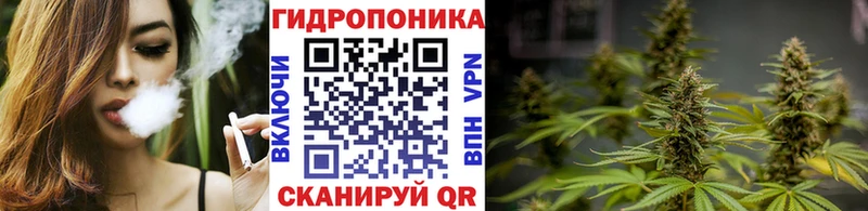 где купить наркотик  Фрязино  Бошки марихуана ГИДРОПОН 