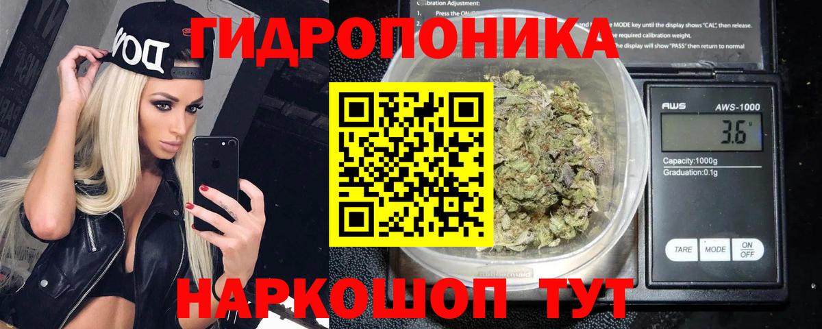 Фрязино  Бошки Шишки семена  Вход с VPN  МАРИХУАНА тримм  Марихуана THC 21% 